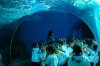 [travel] Thailand Bangkok Siam underwater world (Siam Ocean World) special offer tickets